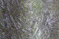 Babworth fibreglass roof work